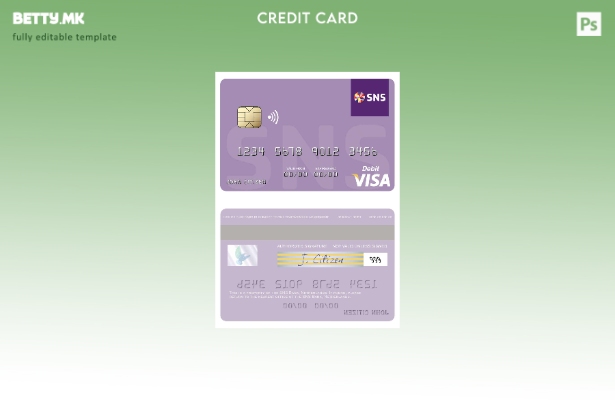 Модерен стил Шаблон за виза за дебитна картичка на SNS Bank на Холандија